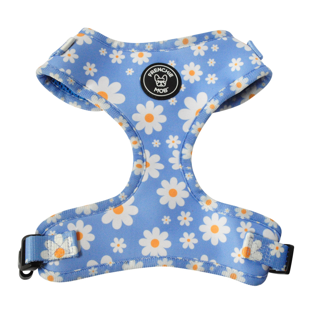 HELLO DAISY ADJUSTABLE HARNESS