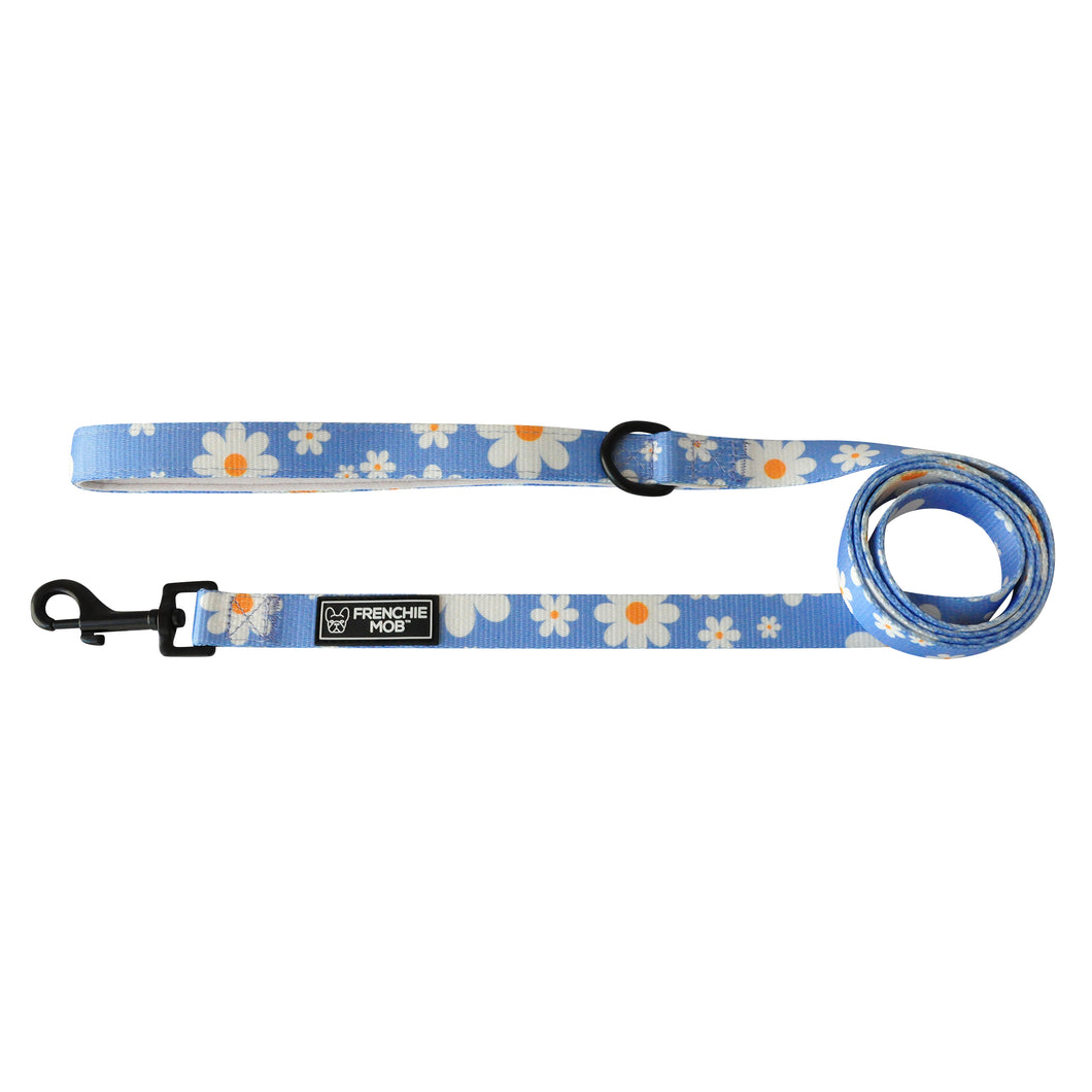 HELLO DAISY DOG LEASH