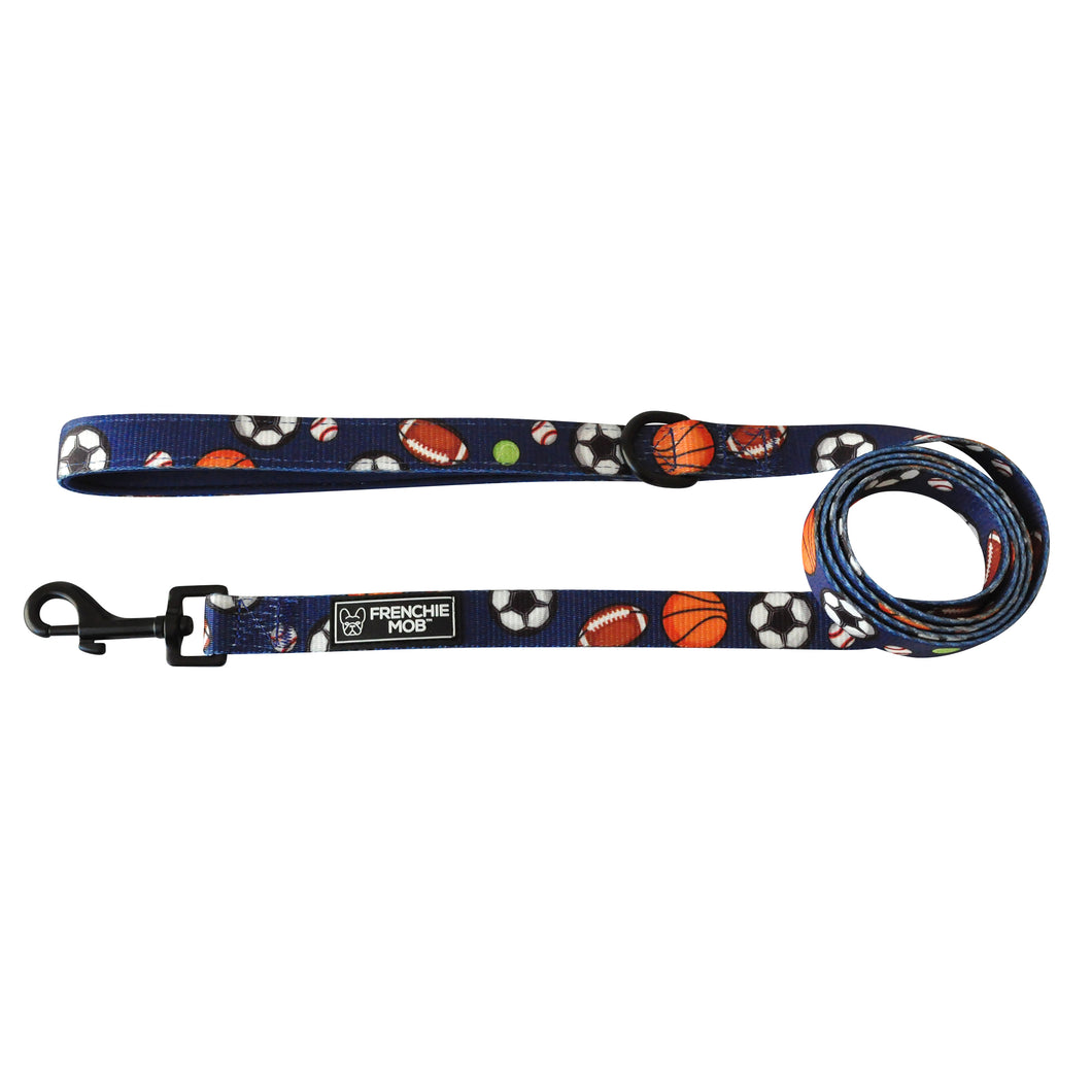 PLAY BALL DOG LEASH