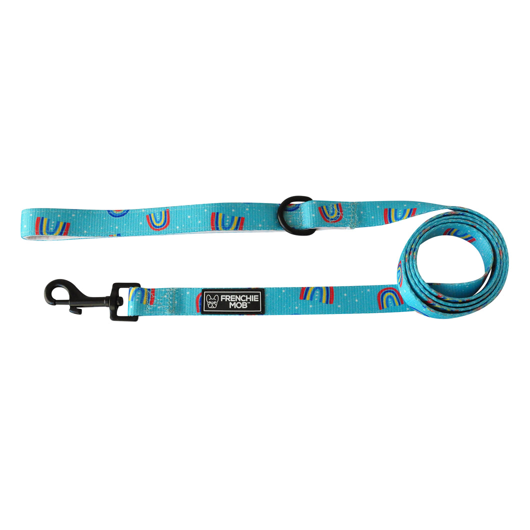 HAPPY RAINBOW BLUE DOG LEASH