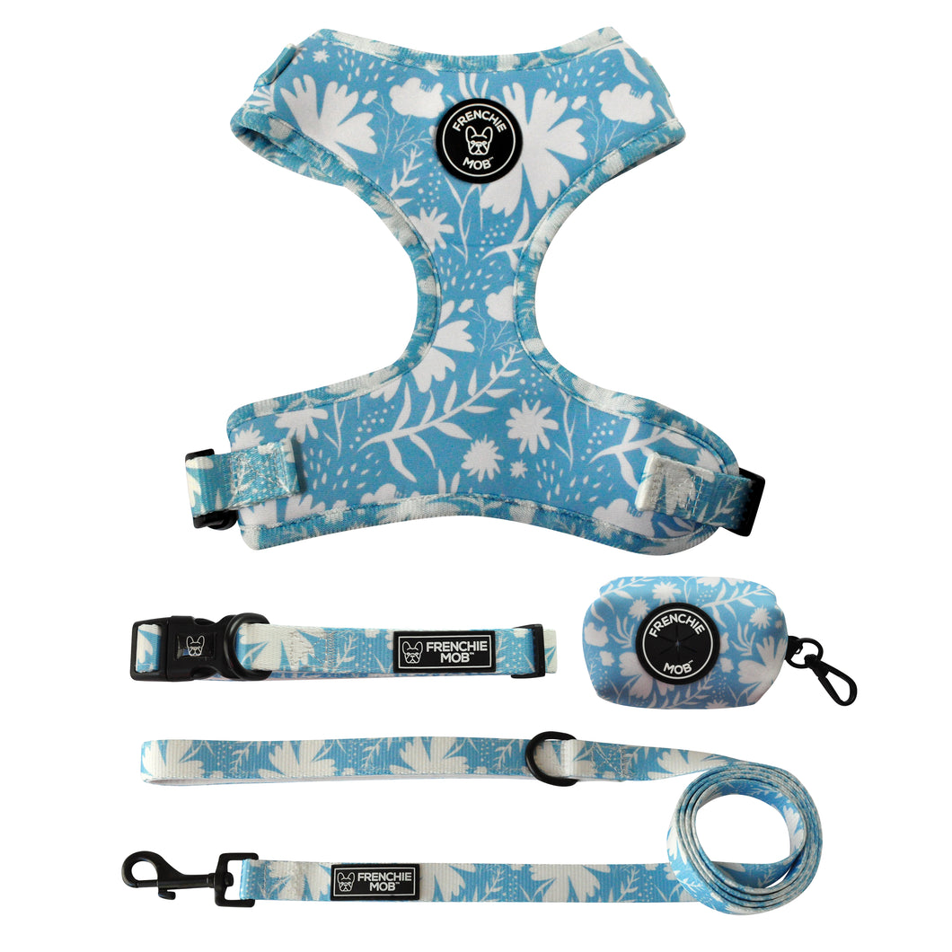 PAWFECT PETAL BLUE BUNDLE SET