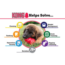 Load image into Gallery viewer, KONG Classic Dog Toy (Medium)
