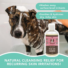 Load image into Gallery viewer, Natural Dog Company ITCHY SKIN LIQUID SHAMPOO
